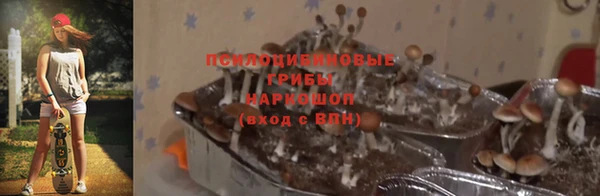 марки nbome Алзамай
