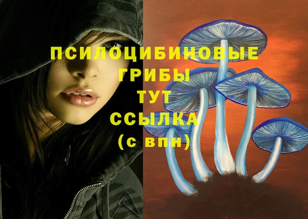 COCAINE Алексеевка