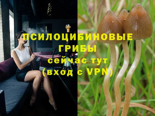 марки nbome Алзамай