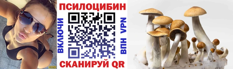 блэк спрут ТОР  Сургут  Псилоцибиновые грибы Magic Shrooms 